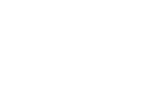 NMSDC Certified